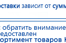 Электроды Скэнар -  двойной овал 55х90 мм купить в Мичуринске, Электроды Скэнар купить в Мичуринске, Нейродэнс ПКМ официальный сайт - denasdevice.ru